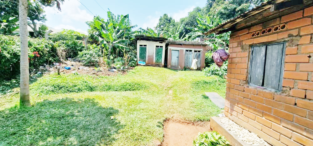 WhatsApp Image 2025-07-29 at 13.32.45 1.jpg